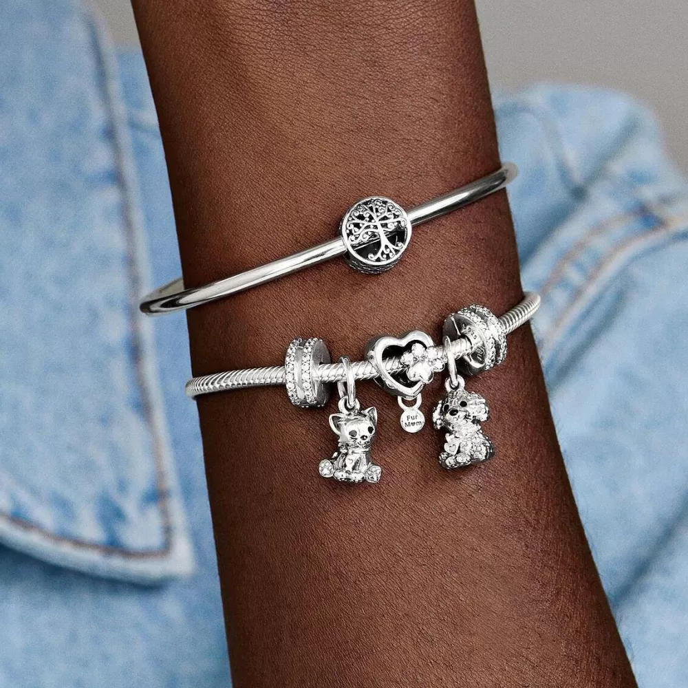 Online Pandora Clip Pave